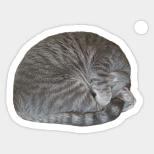 Baxter Ball Cat Nap Sticker